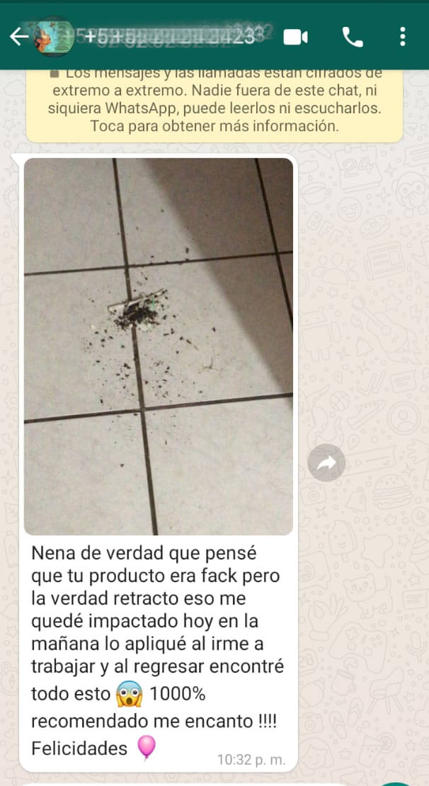 mata-moscas-prganico-moska-loka-testimonio-8